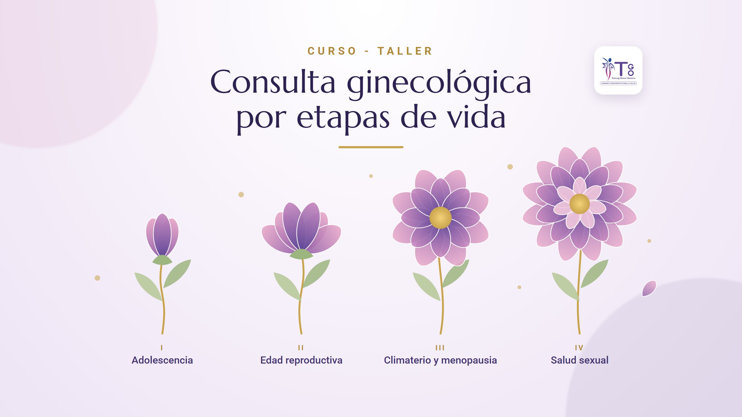 Consulta ginecológica por etapas de vida